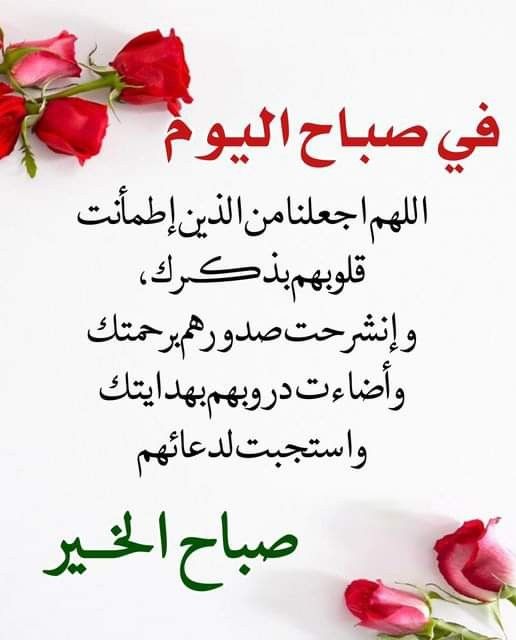 SayedMo42713256's tweet photo. @ManalLoud https://t.co/nqXiuUANZY
