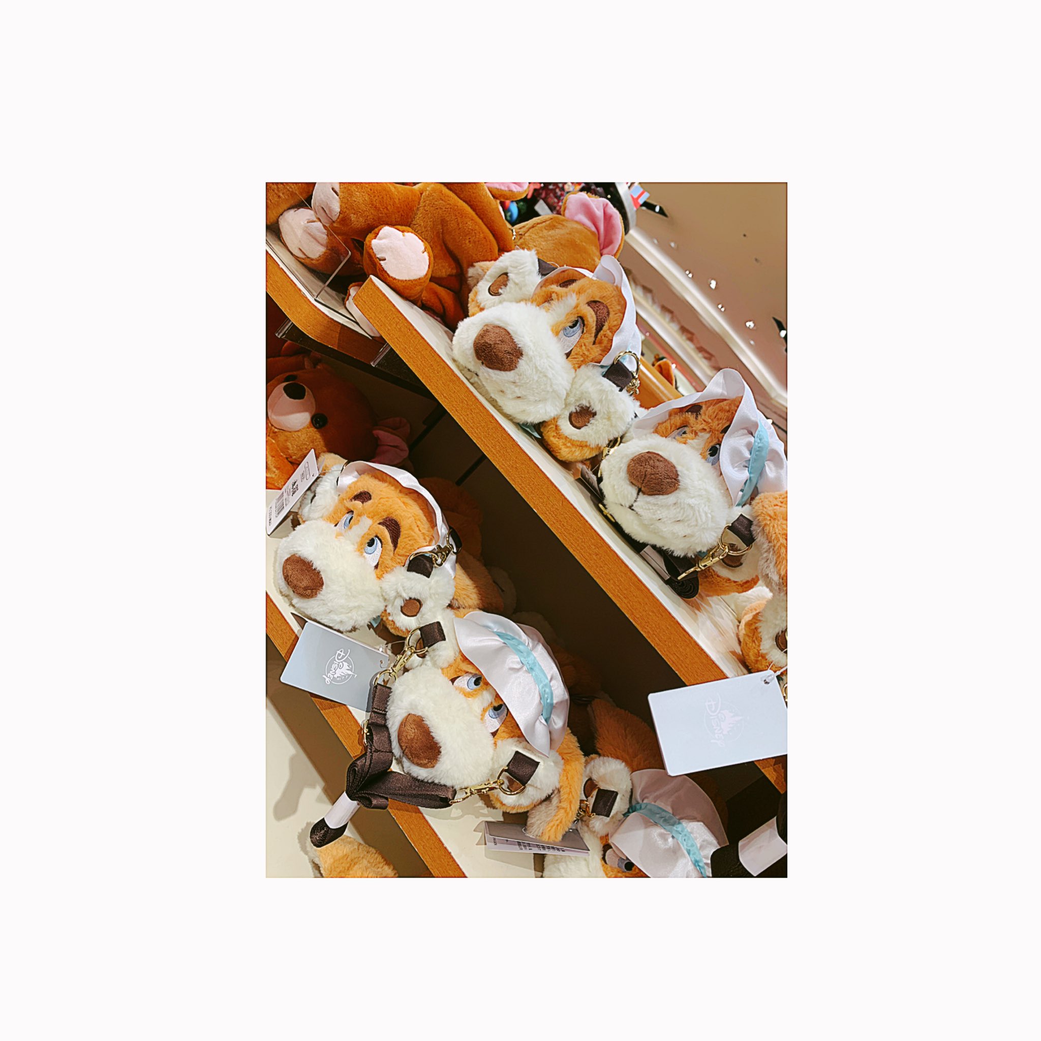 新規dオタ - Cerca / X