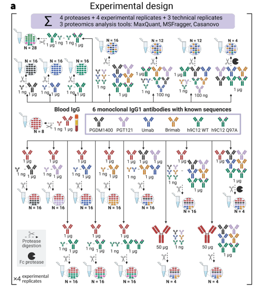 Systematic benchmarking of mass spectrometry-based antibody sequencing reveals methodological biases <a href="/victorgreiff/">GreiffLab 💻🔬💊</a> <a href="/ISnapkov/">Igor Snapkow</a> <a href="/mchernigovskaia/">Maria Chernigovskaya</a> <a href="/KhangLeQuy/">Khang Le Quy</a>
doi.org/10.1101/2024.1…