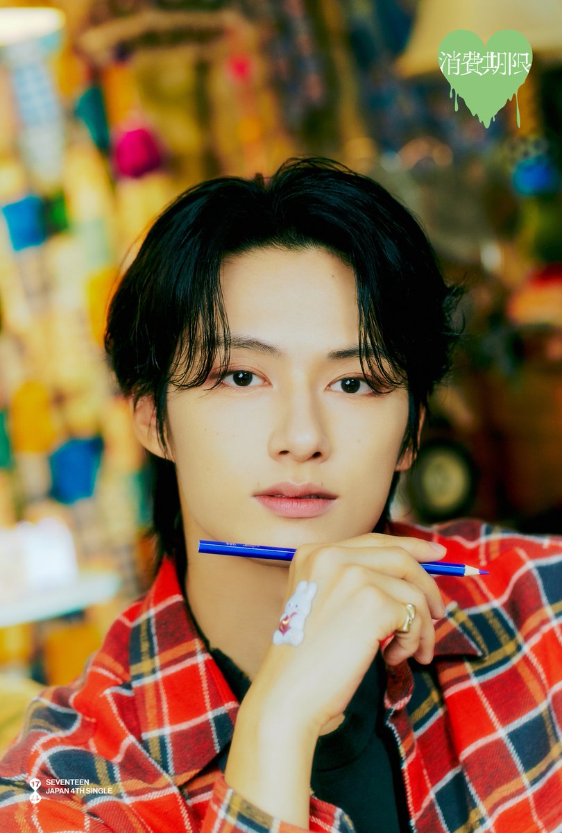 SEVENTEEN Japan tweet media