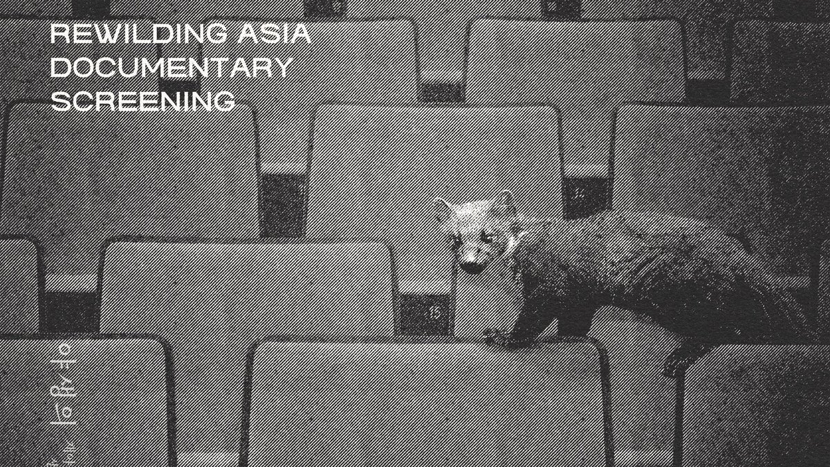 페미니스트 저널 일다 tweet media