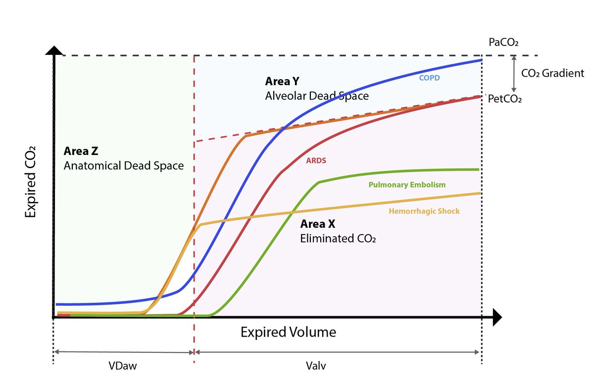 The use of volume capnography in ICU patients!
wix.to/qmJ9pYP

#capnography