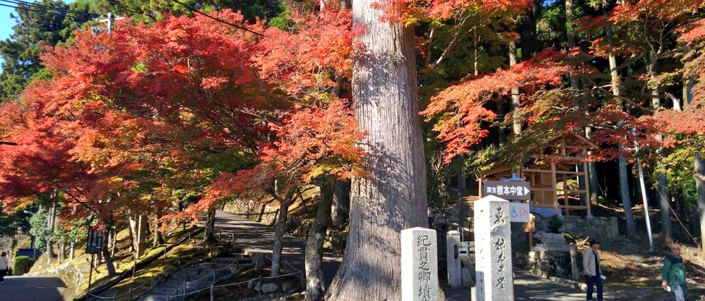 kiku000084's tweet photo. 比叡山来た☺
紅葉あって良かった🍁
山頂寒くて梵字カフェで暖まった😄
#延暦寺会館 https://t.co/8nieSJuPVZ