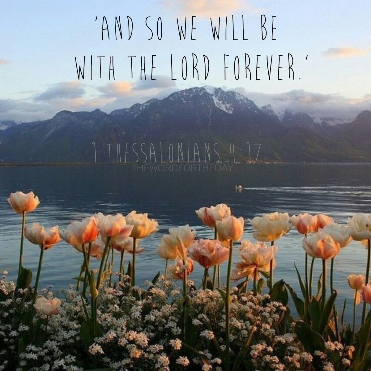 Home_ChurchFA's tweet photo. Hope of Eternity (Sunday)
🌅 "We will be with the Lord forever." – 1 Thessalonians 4:17 🌅
Our hope is in Christ—forever! 💙
Join us for Bible Study at 10 AM &amp; Worship at 11 AM!
📍 9607 East Main St, Houma, LA #EternalHope #1Thessalonians4 #BayouHomeChurch #HopeInChrist https://t.co/aXDycJhT2Y