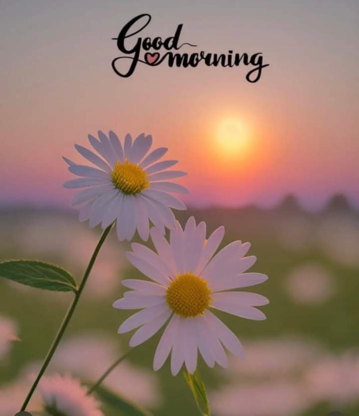 Good Morning X Family 🌅 

HAVE a Nice Day 😊