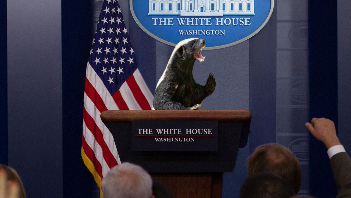 Trump Appoints Angry Honey Badger As New Press Secretary buff.ly/2AW8FQ8