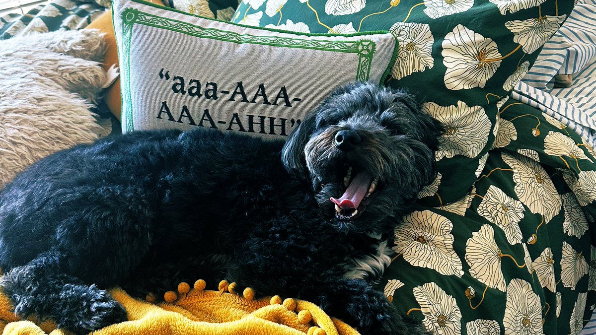 Patrick M Aprea tweet media