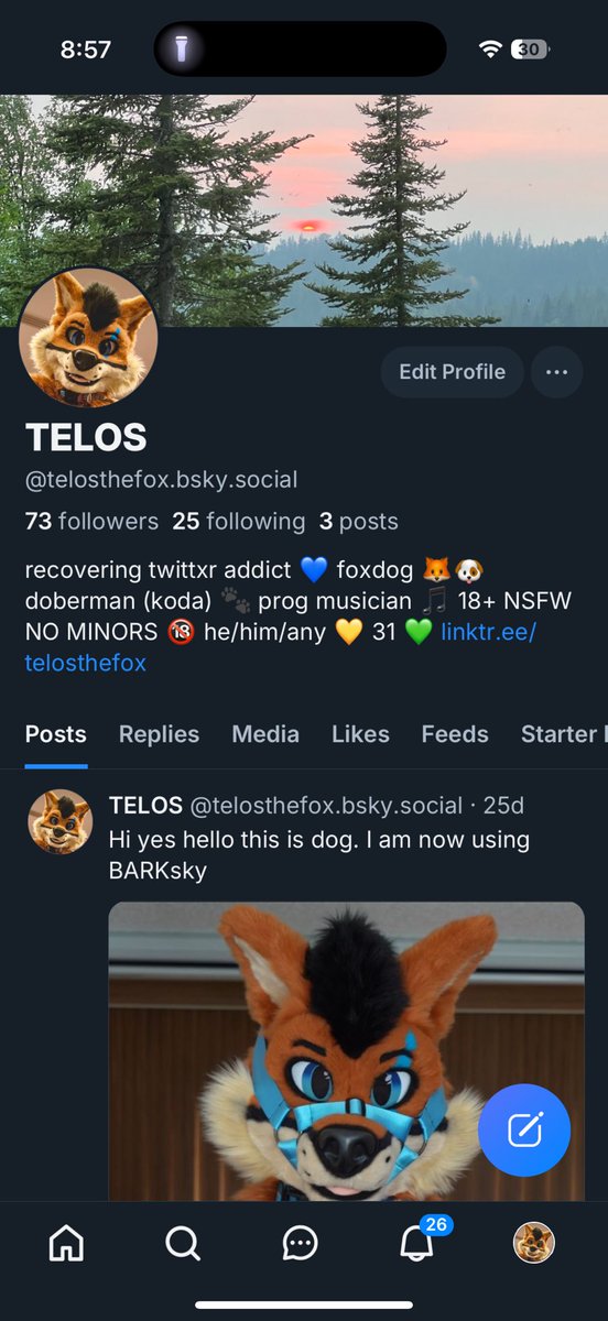 𝐓𝐄𝐋𝐎𝐒 ➡️ Bsky tweet media