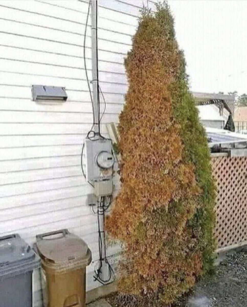 TheFlatEartherr's tweet image. This is why you shouldn&apos;t have a &apos;Smart Meter&apos;.