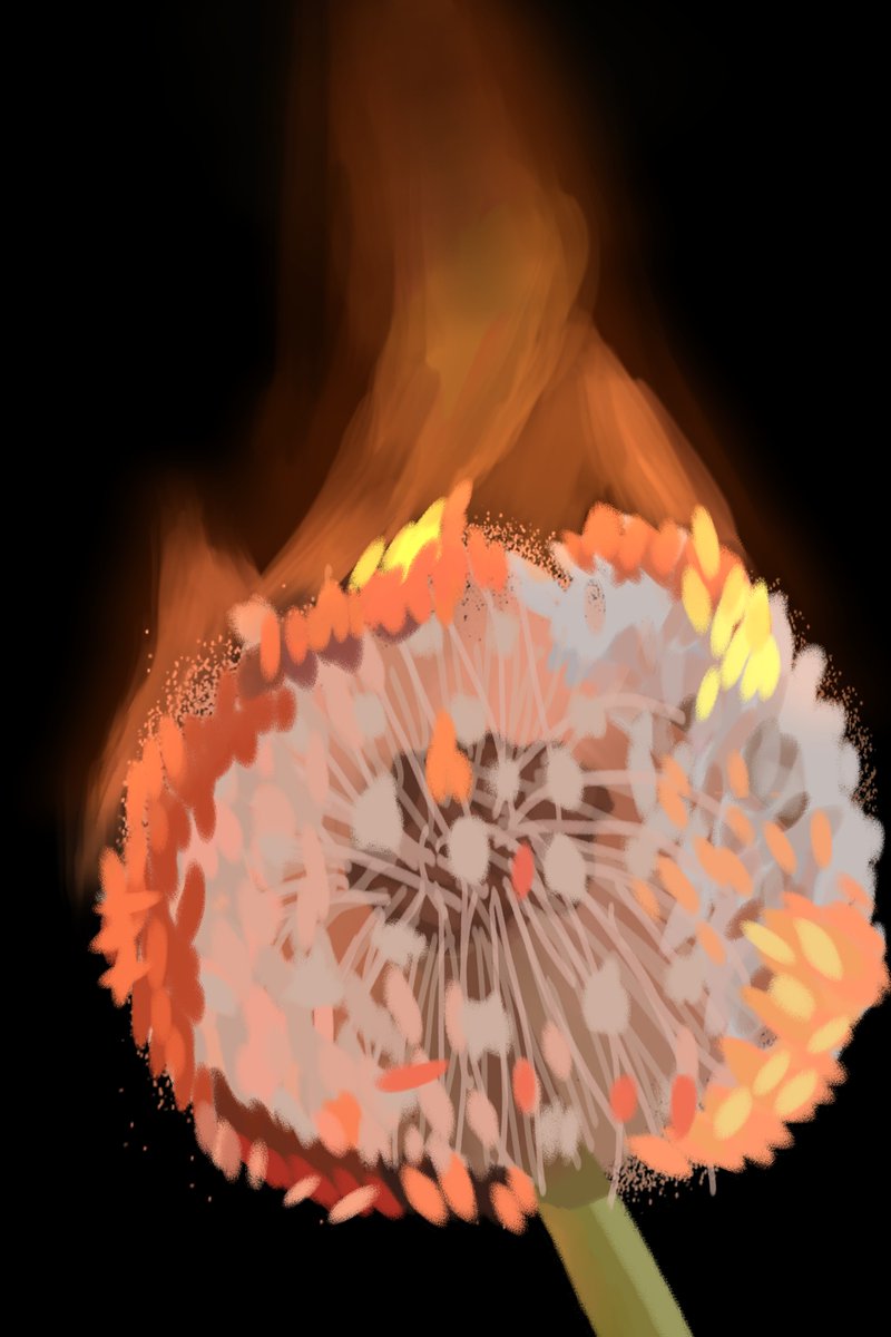 worms_n_bugs's tweet image. Promptober day 24: dandelions 🌼
#SaveDeadBoyDetectives
#DBDpromptober2024