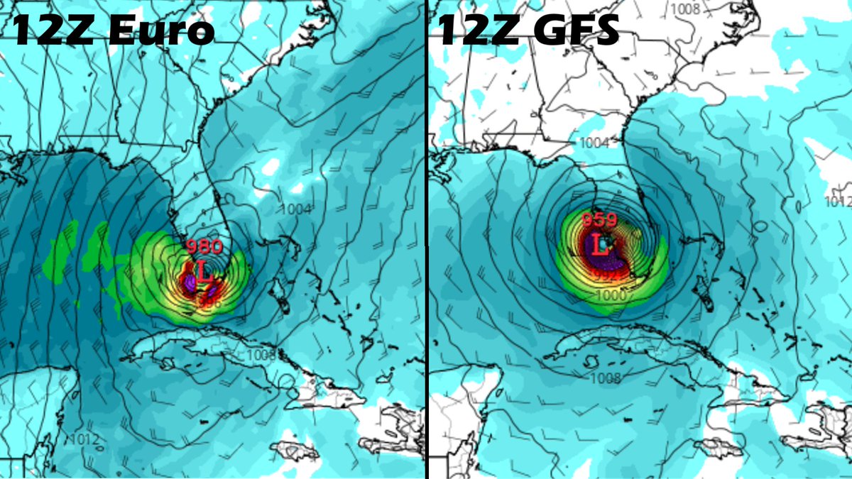 Josh Morgerman tweet media