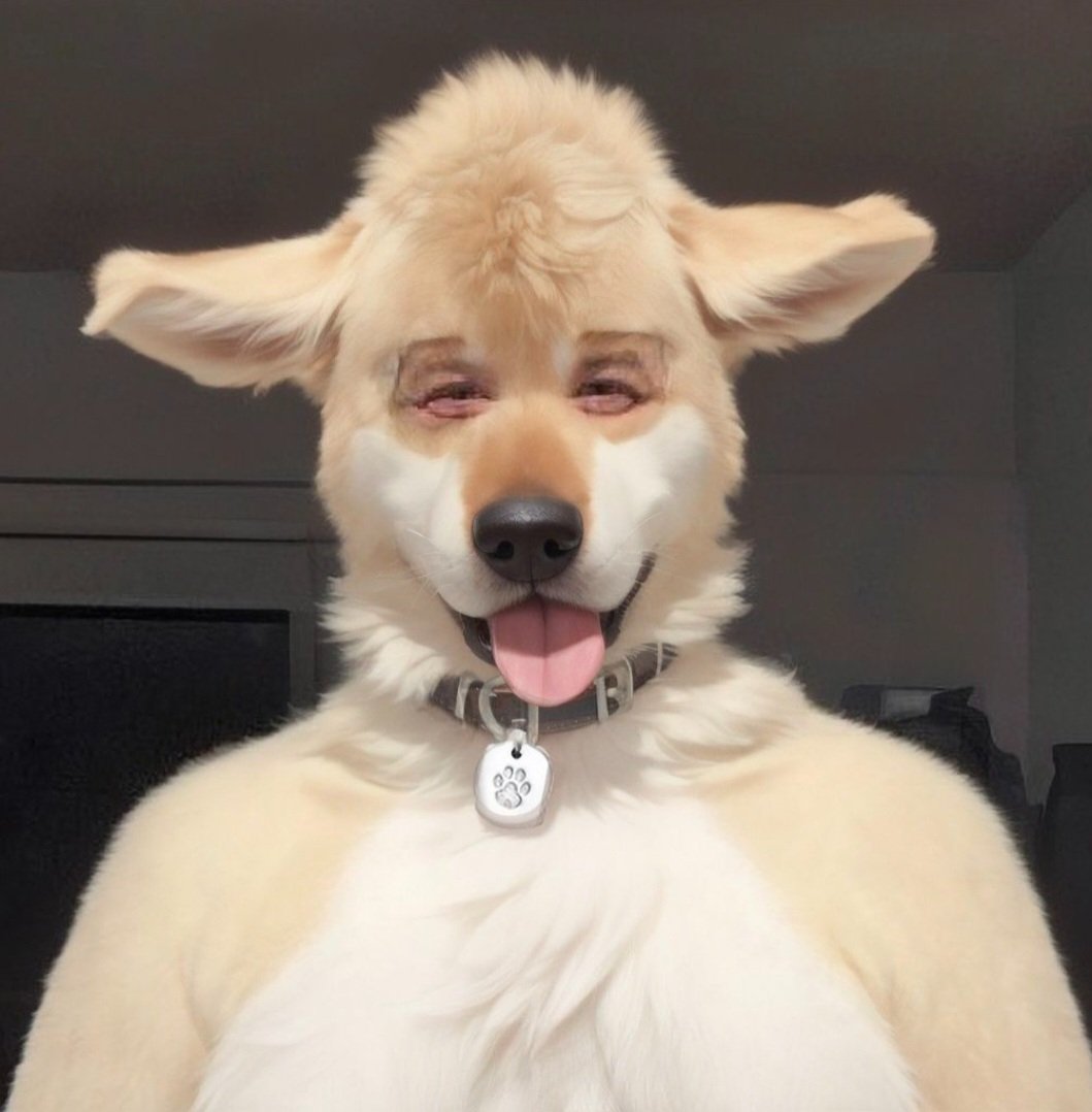 Maximus_Mutt🐶🐕🐾 tweet media