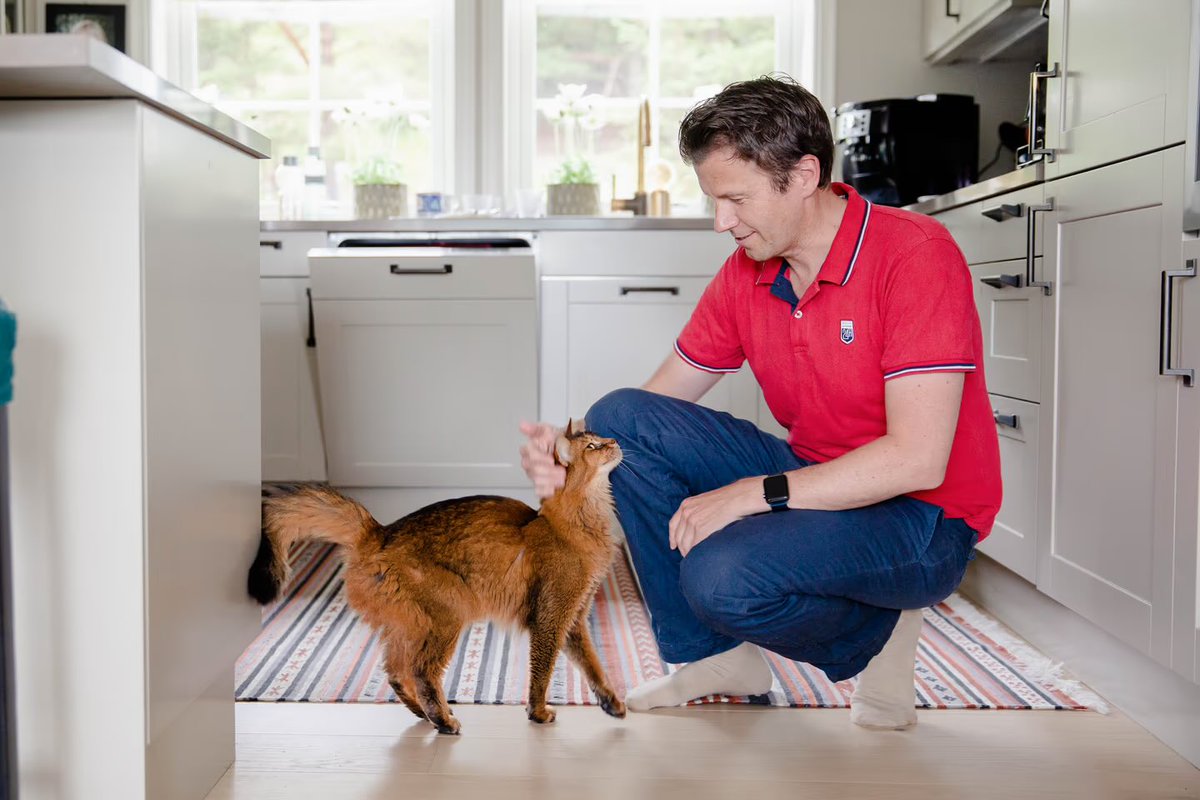 Kattekisme tweet media