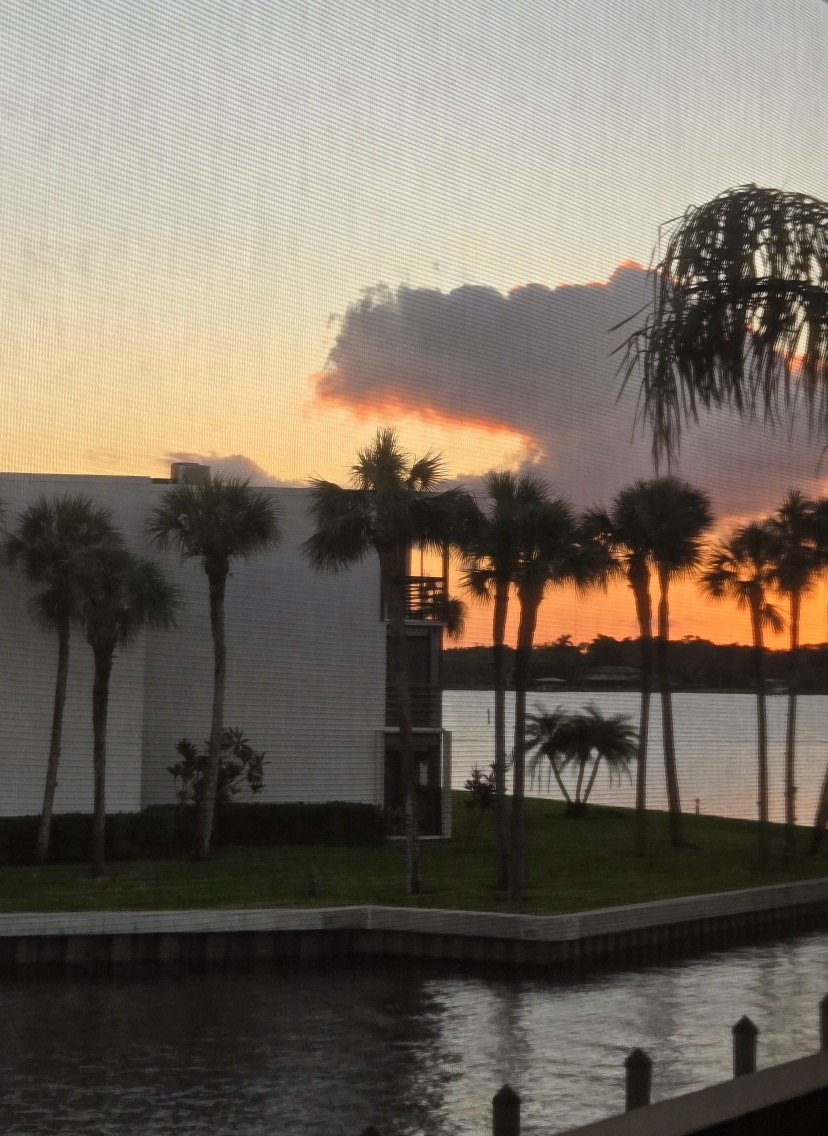 🌴🌺Joyce and Karma🐾🐱 tweet media