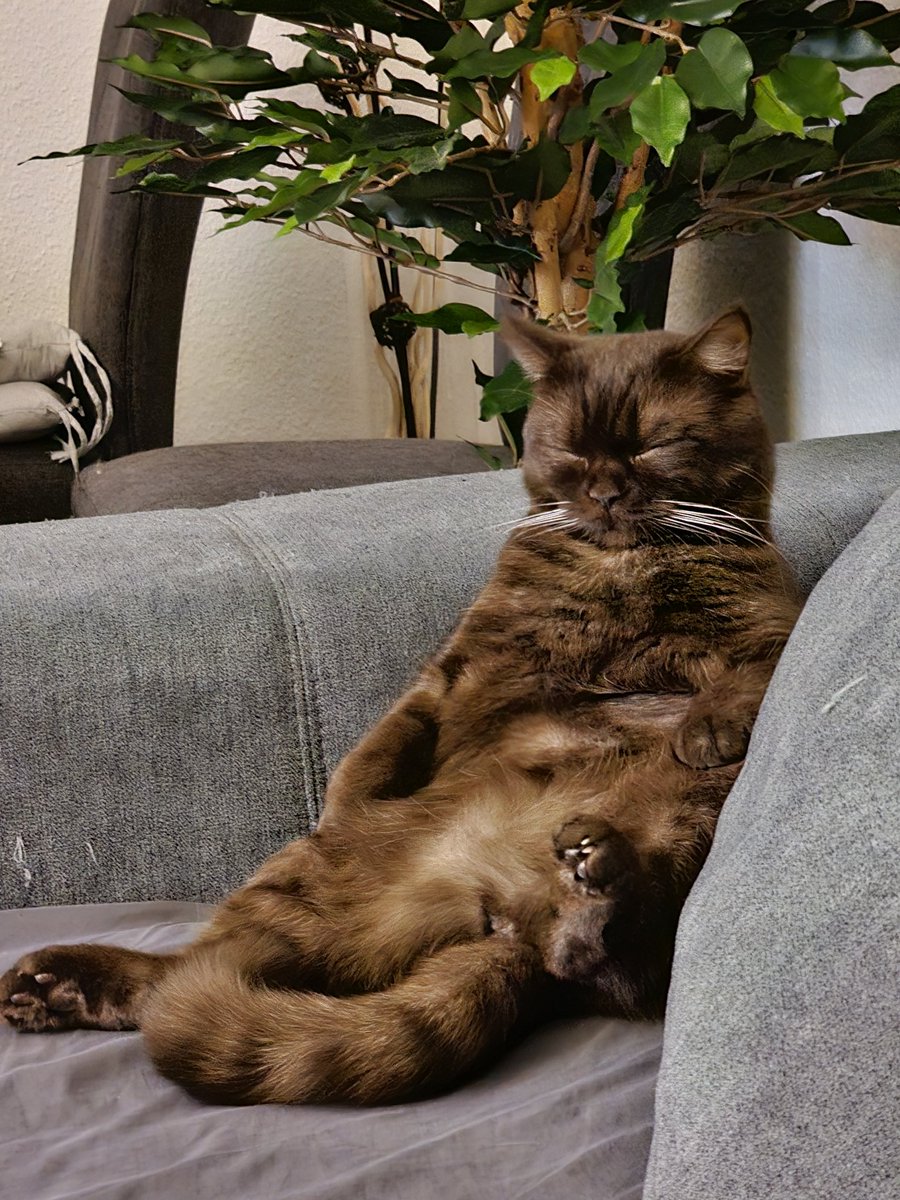 Chillen am Limit 🥰