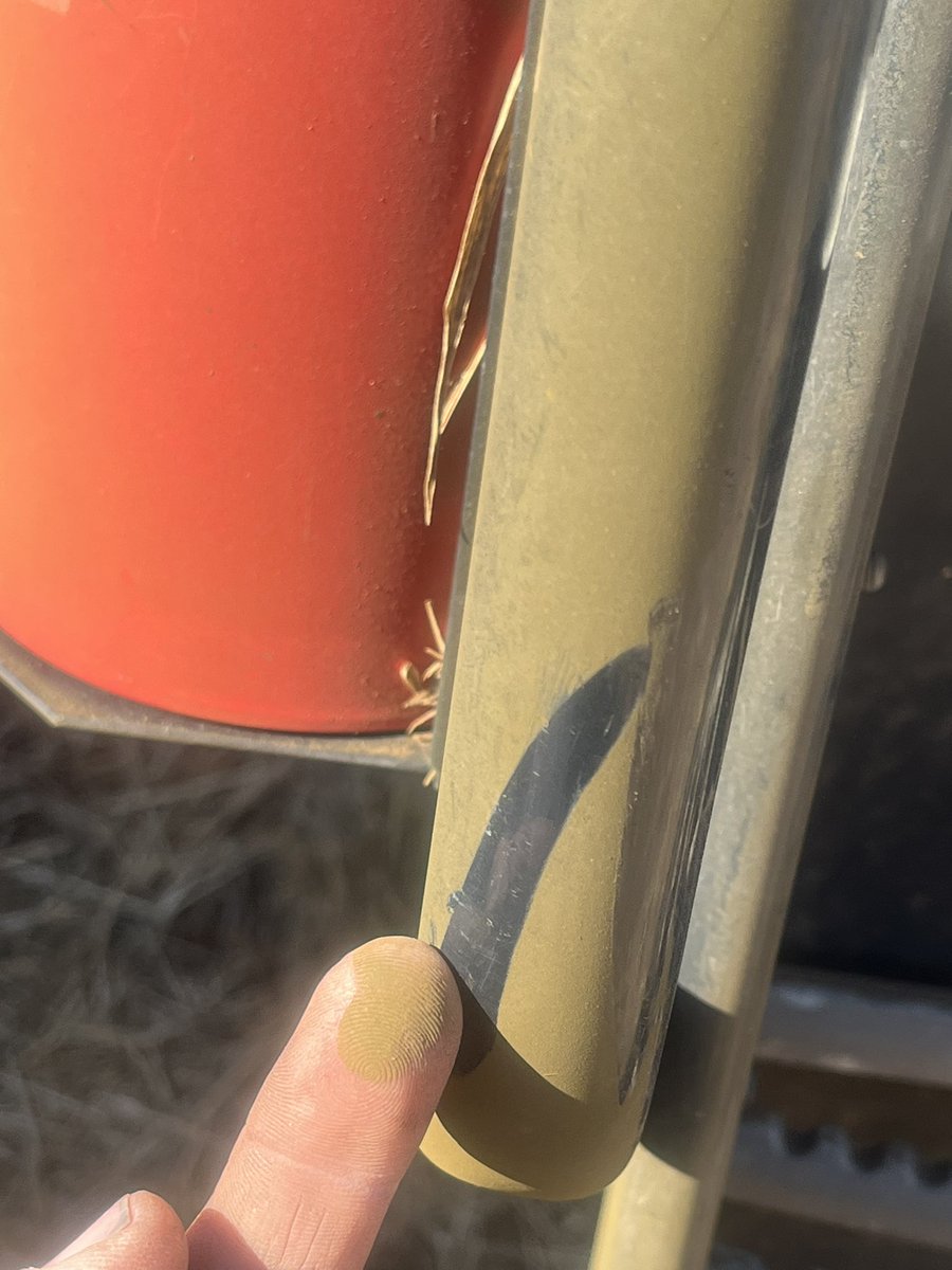 Dal Waters tweet media