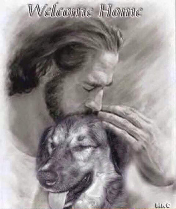 JerrySm69424759's tweet photo. @thehappydog_ https://t.co/LHI6Q3Ckfq