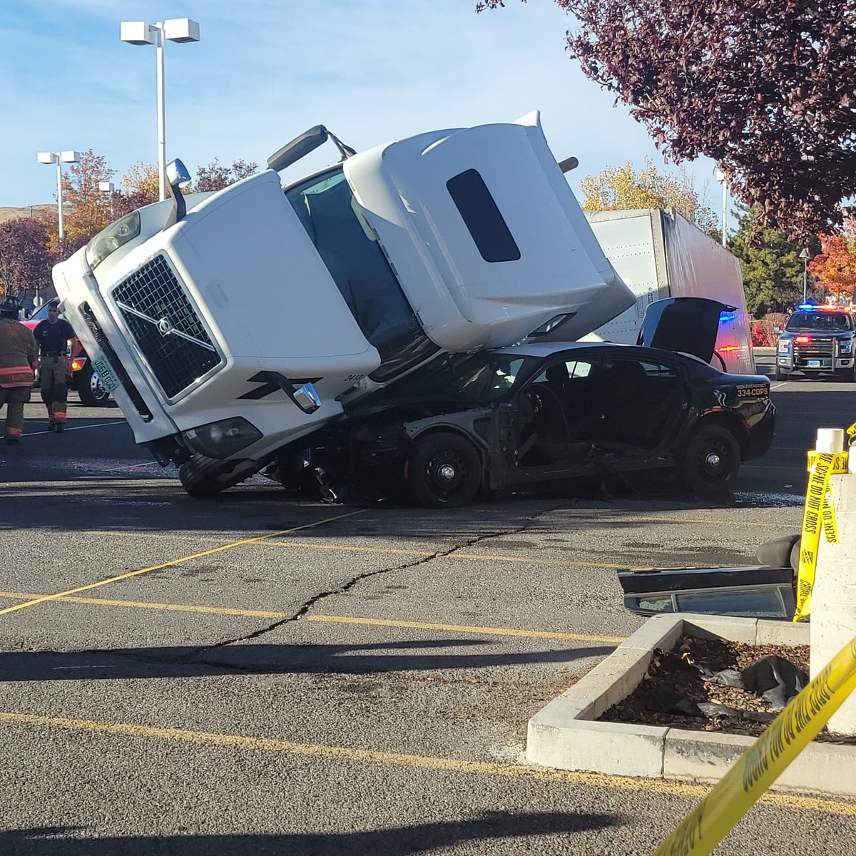 Tim Burrows tweet media