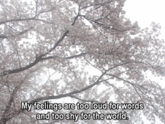 ️️ ️
️️
        ㅤㅤㅤㅤㅤㅤㅤㅤㅤㅤㅤㅤㅤㅤ   ۪   ࣪⊹

️️