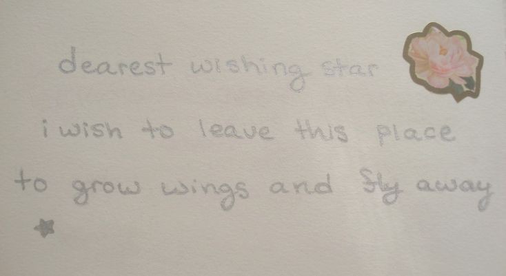 ️️ ️
️️
        ㅤㅤㅤㅤㅤㅤㅤㅤㅤㅤㅤㅤㅤㅤ   ۪   ࣪⊹

️️