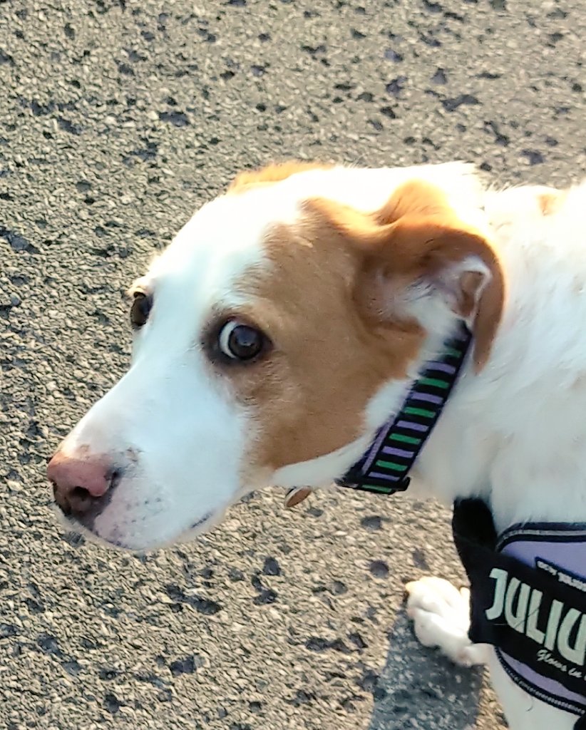 Hahahaha! You'd think I was consulted for this study....