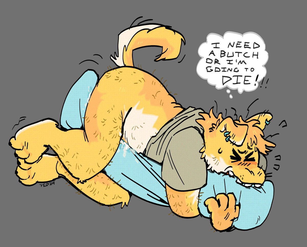 sad wet dog somebody help her