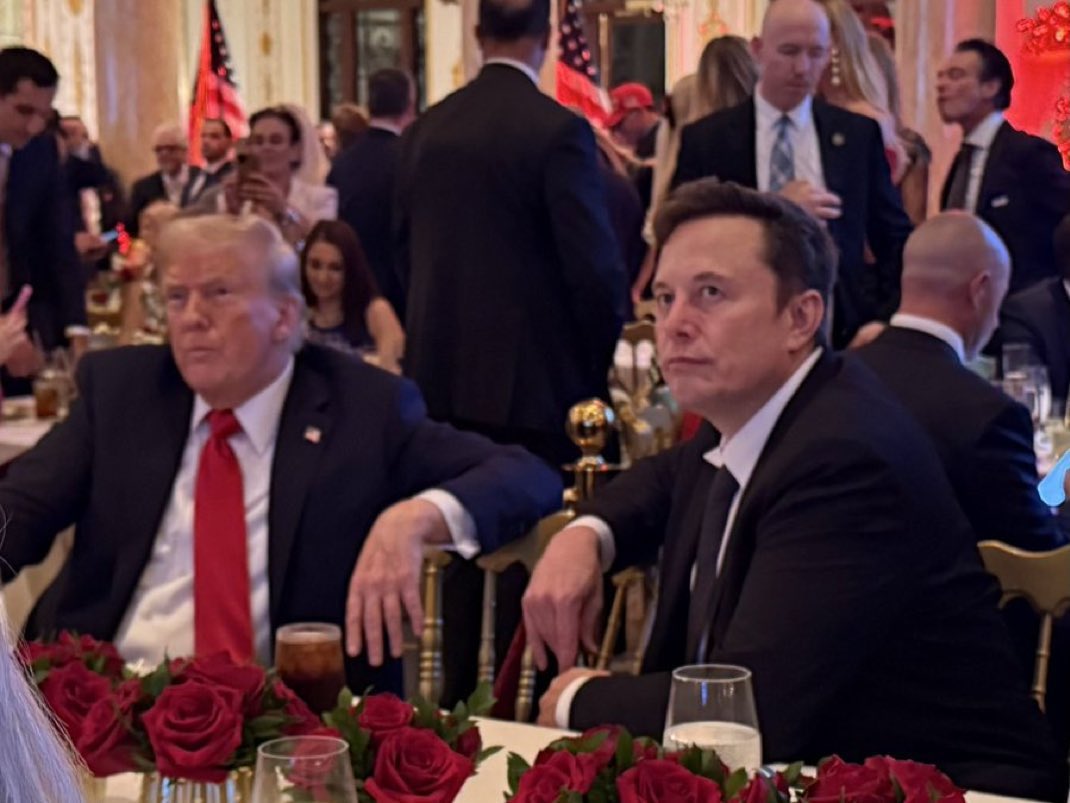 DogeDesigner tweet media