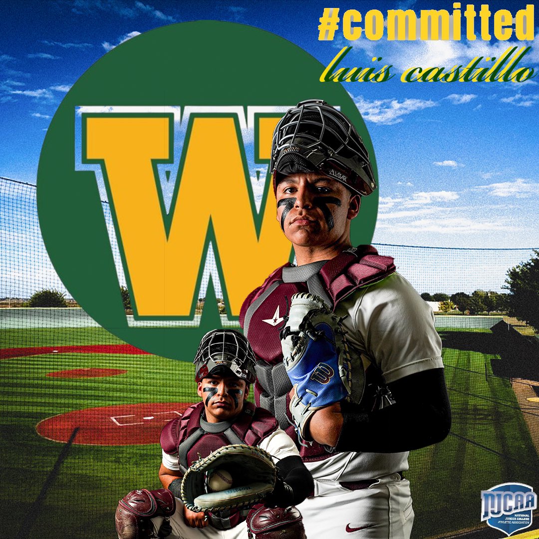 Luis Castillo tweet media