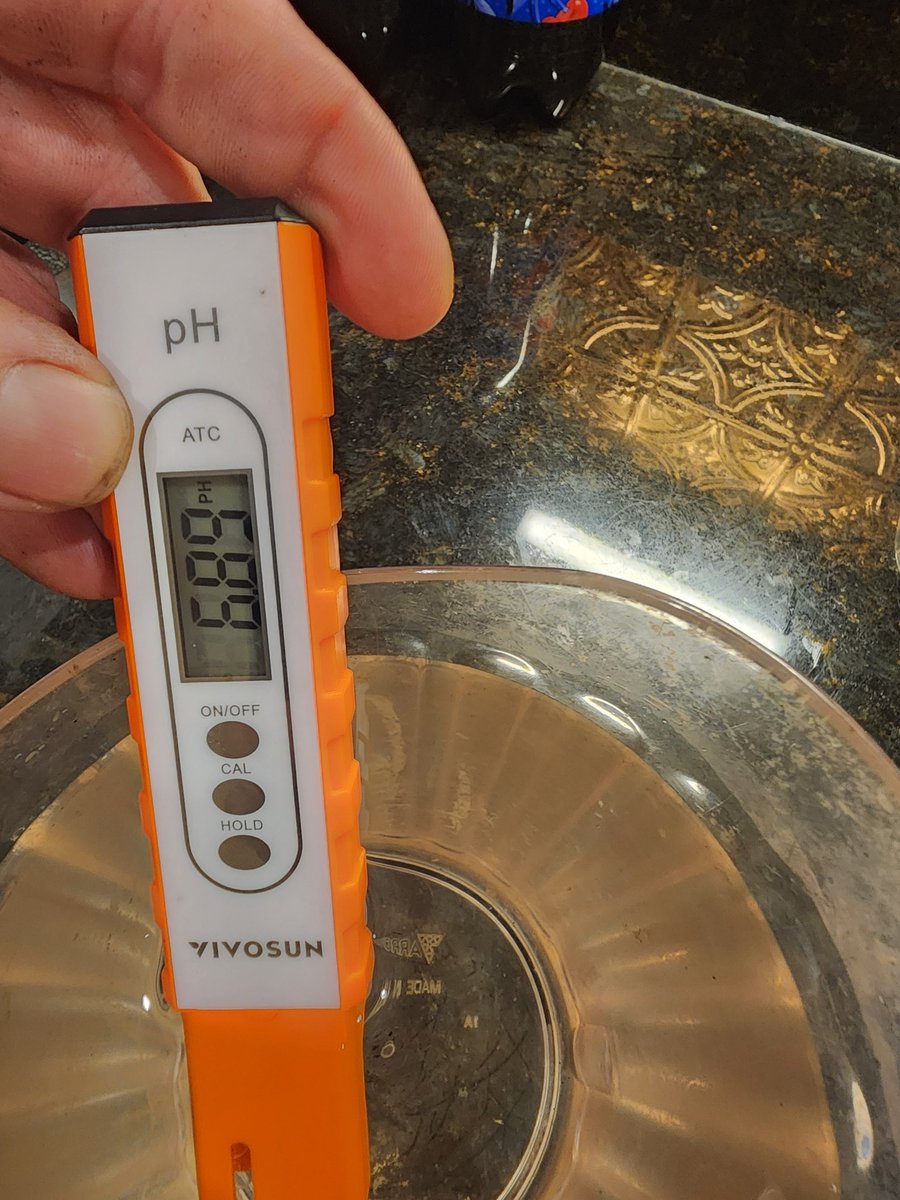 Grayway75's tweet image. So #Growmies.. Problems have arisen... I'm comparing some soils and well, the bag soils are falling short.   Let's talk about it.  I'm having PH issues. Let's discuss the why... Watch the video.  The pic shows my water PH.  So? @BuildASoil  #LivingSoil #LearningOpportunity