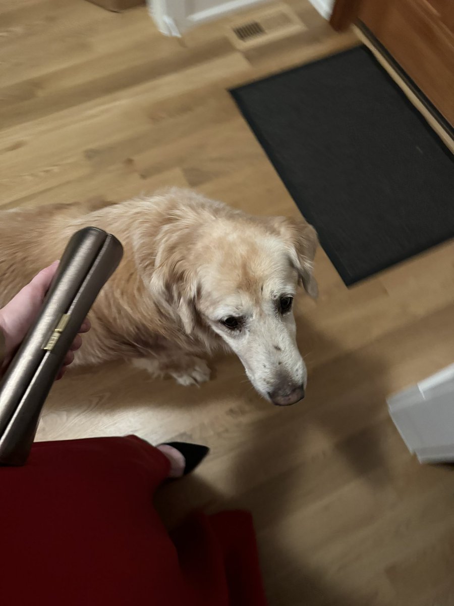 Kristen Soltis Anderson tweet media