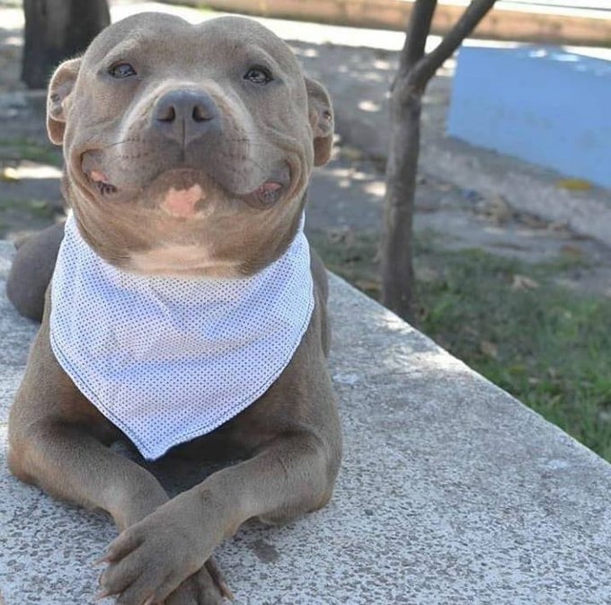 Happy photo of the day