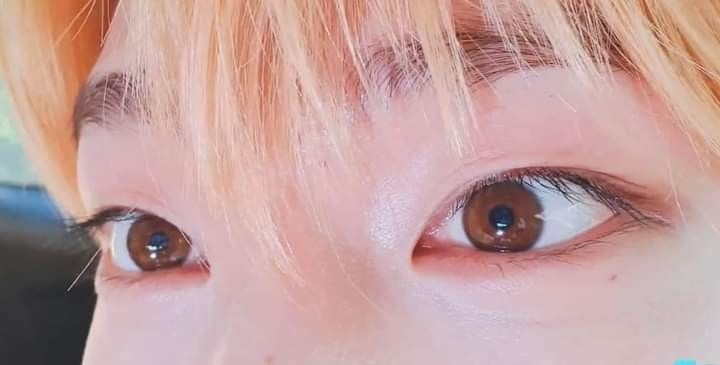 npomvtt's tweet photo. Sunoo (ENHYPEN) https://t.co/pvewPuaofw