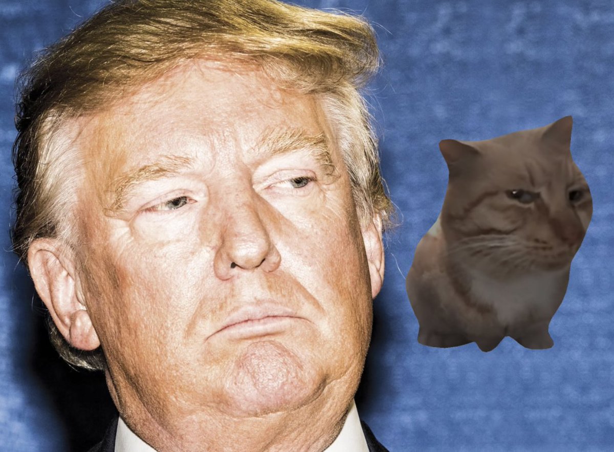 Side eye team. Stay fresh 

$MRFRESH