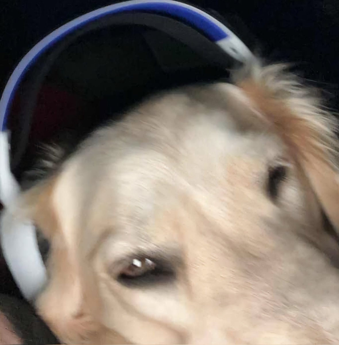 FGC_LDG's tweet image. Lightning dome gladiators main MK1 competetive team:
@sonnyboxd 
@Tempest_fgc 
@KindaBrownBoy 
@alto_fgc