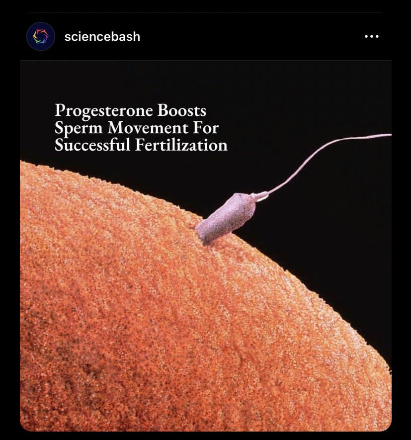 BioavailableNd's tweet photo. Bet you didn’t know: progesterone, your hormone from the ovulated egg, kicks a *specific* sperm into high gear. It revs up its movement, putting it into a 'hypermotile' state so it can break through the egg’s tough outer layer.

The egg decides which sperm will fertilize it!