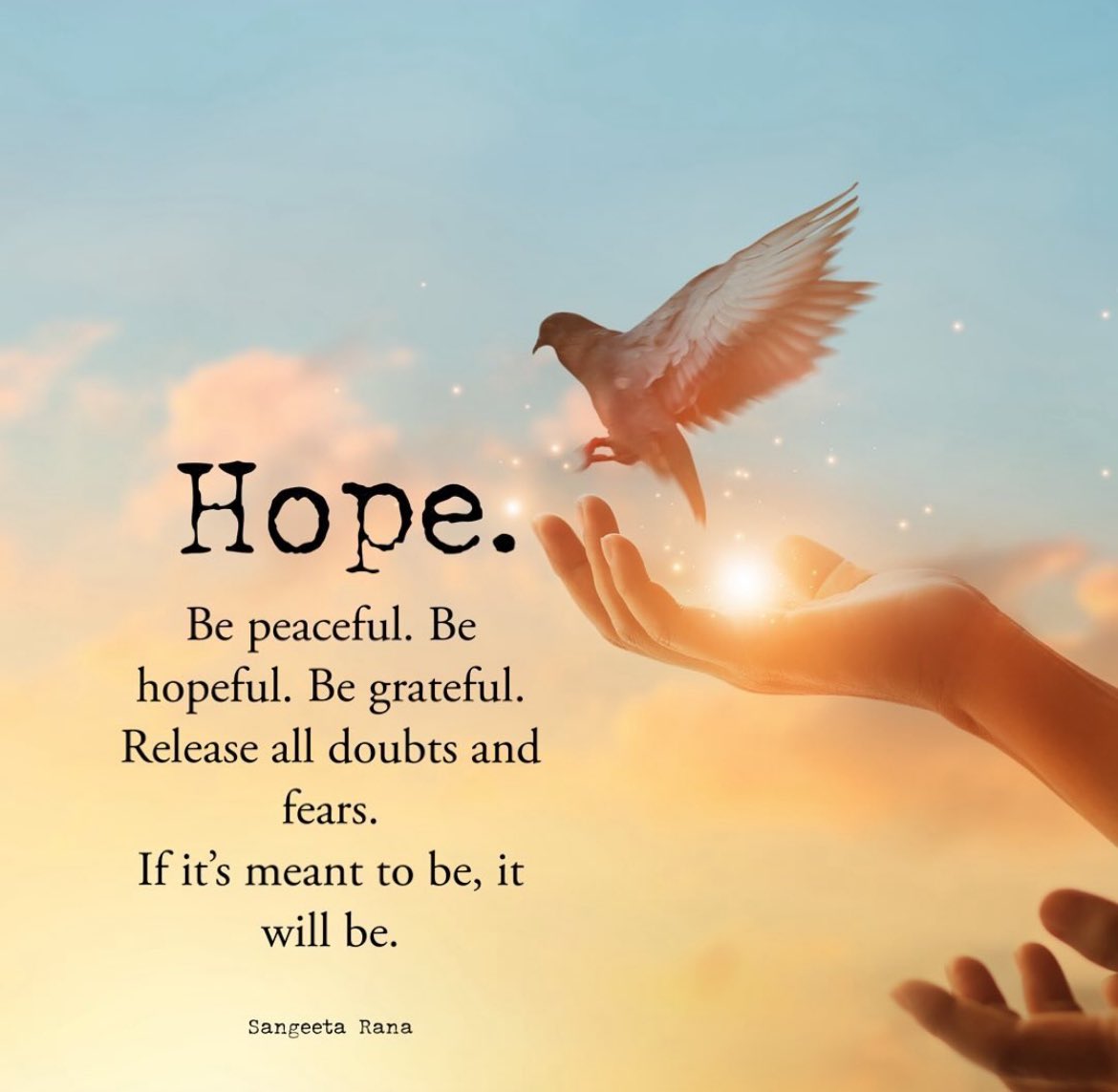 Liza (@roadrunnerlife) on Twitter photo 