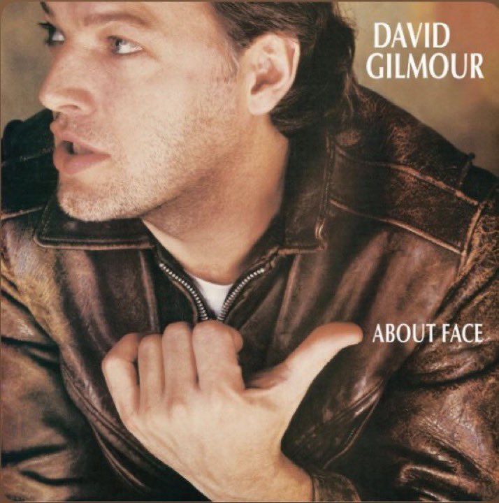 BlueSpiritBlues's tweet image. デヴィッド・ギルモア『狂気のプロフィール』
#NowPIaying #DavidGilmour