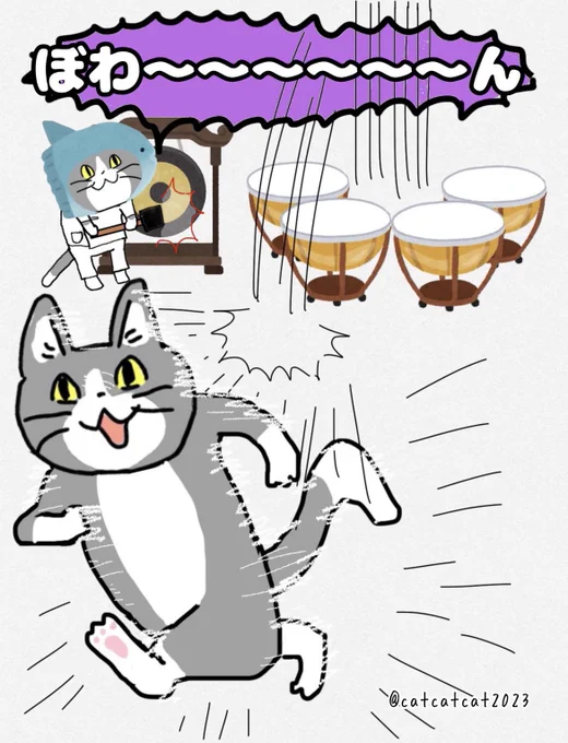 猫の習性 