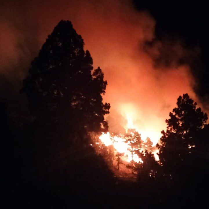 TGnoticiasMundo's tweet photo. 🇪🇦 después de las inundaciones y todos los demas daños que dejo la Dana en España
Ahora incendios forestales en Canarias.. 😅
De plano siguen pensando que es normal, o que #PedroSánchez los vendió a los planes Globalistas de la Agenda2030 ??🤔🤔
#danacyclone
#Valencia
#españa
#ULTIMAHORA
#Tendencias
#urgente
#UltimoMomento .
#EsTendencia .