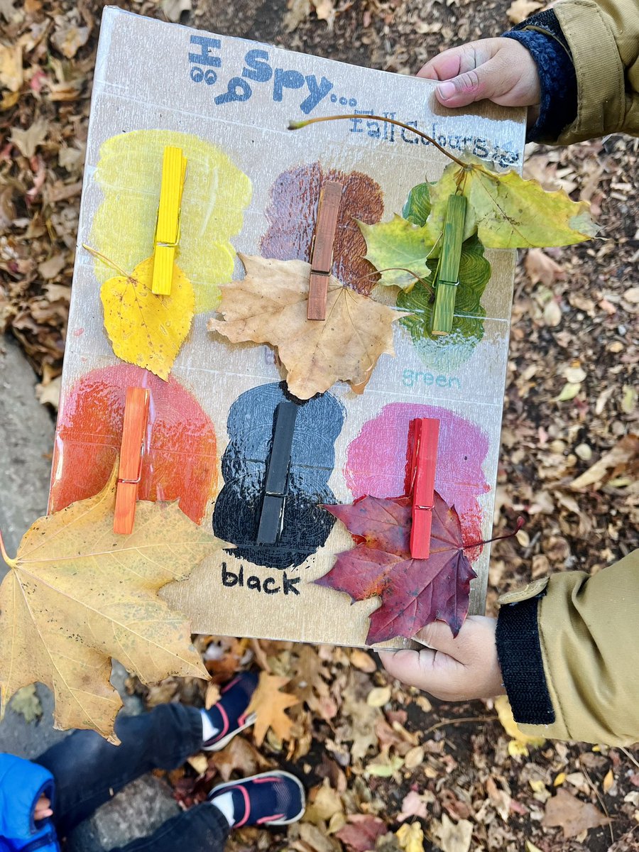 Ms.Persaud’s Falcons tweet media