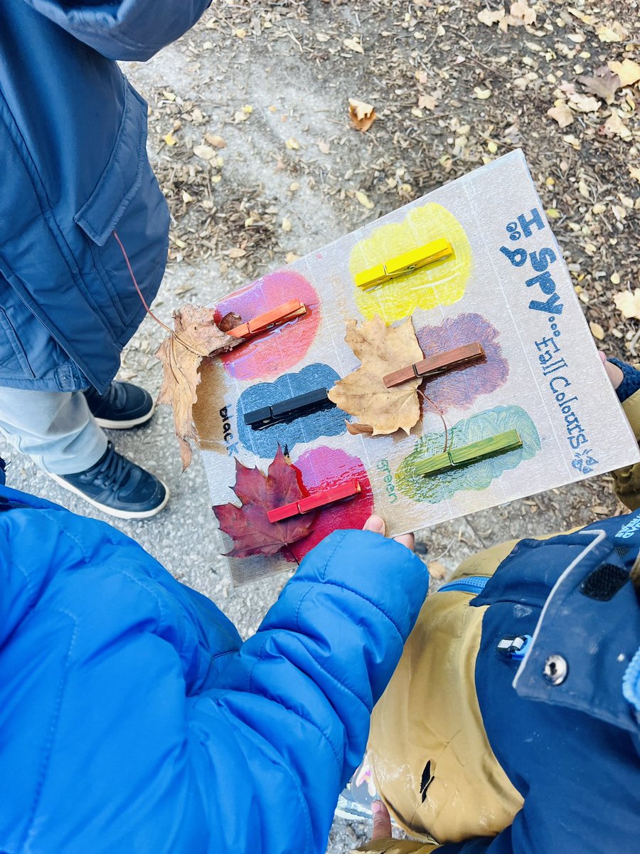 Ms.Persaud’s Falcons tweet media