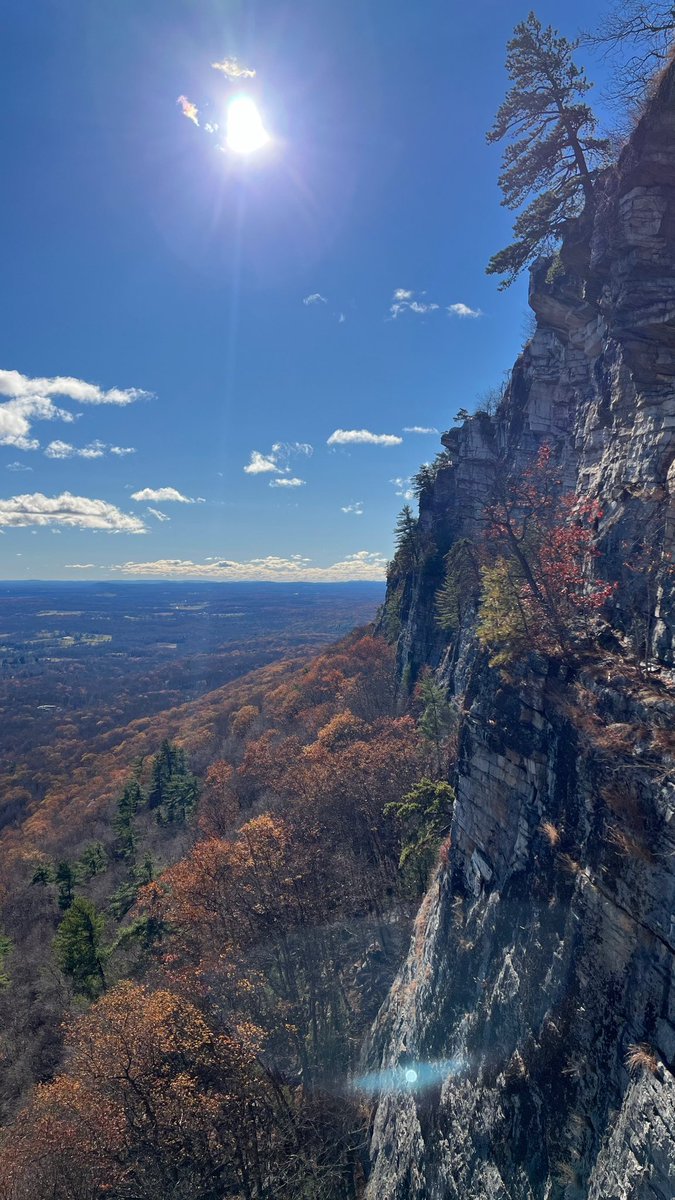 👻 Bald Garfs 🎃 🐈 tweet media