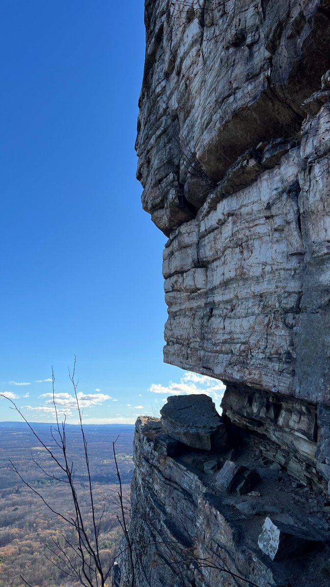 👻 Bald Garfs 🎃 🐈 tweet media