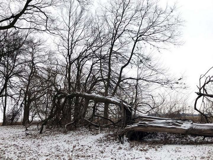 Art of the Day: "Early Winter". Buy at: ArtPal.com/rogergarza2014…