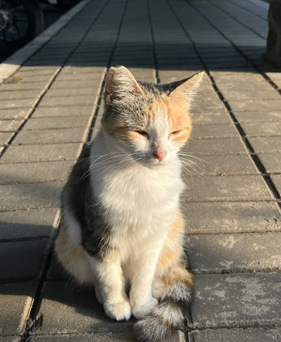 gimana lewatnya inii