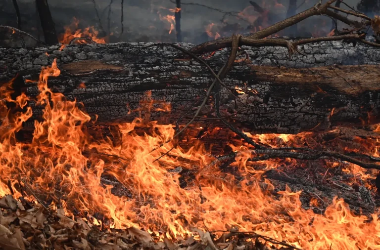 ‘Praying for rain’: How New York farmers are dealing with drought — and unexpected brush fires dlvr.it/TG8KvJ