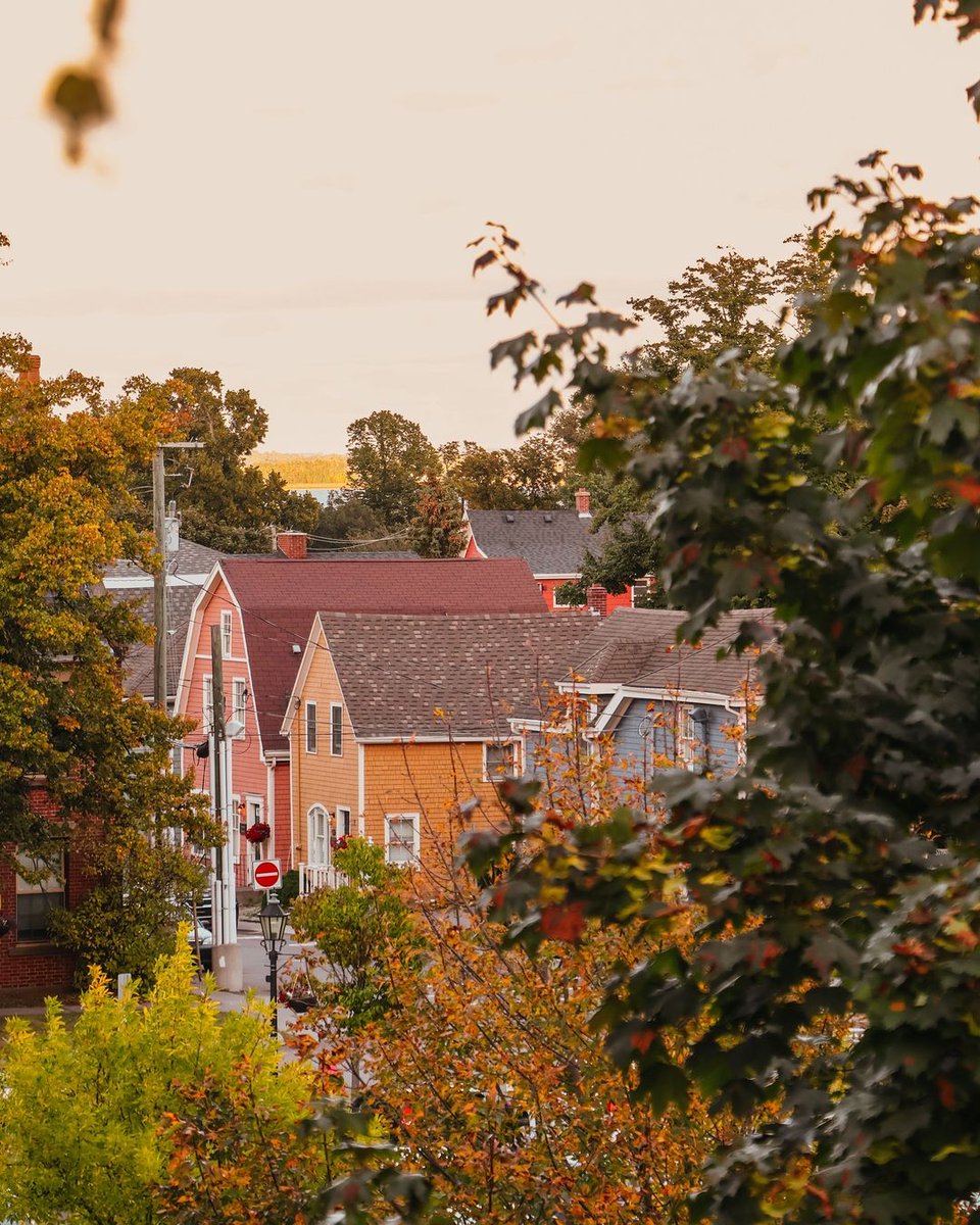 WelcomePEI's tweet photo. Charlottetown has mastered the art of charm. 💫

📍 Downtown Charlottetown
📷 PEI Camera Roll https://t.co/A2sFjwIjk9