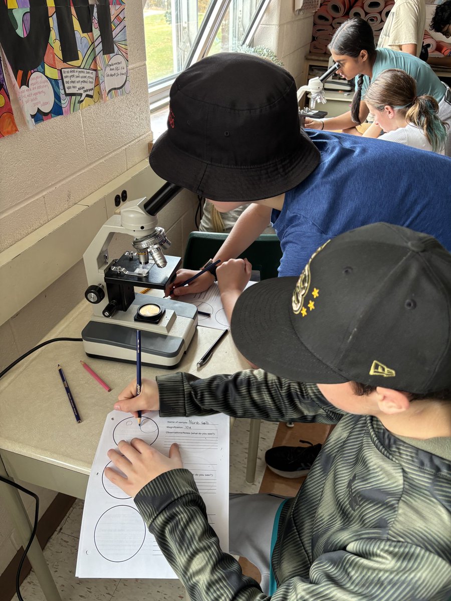 Ms. Prodanos tweet media