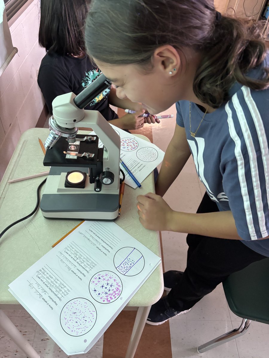 Ms. Prodanos tweet media