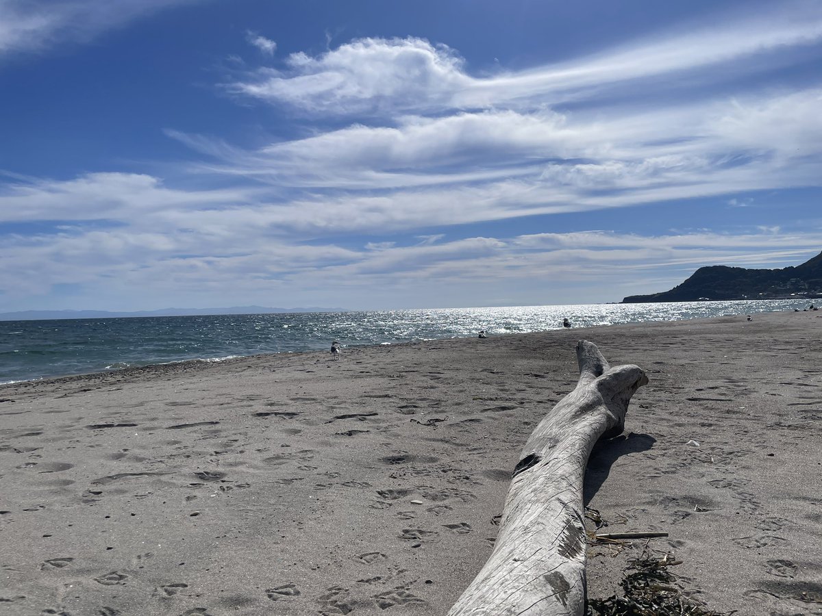 uk_i035's tweet photo. 娘と貝殻拾いしてた時に見つけた貝殻🐚
.
こっち見て笑ってたんですよね。 https://t.co/4WFooYXWWD